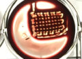 Healing Bones Naturally: A Revolutionary Implant Developed