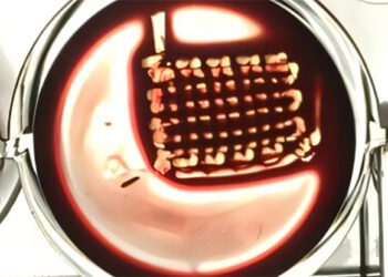 Healing Bones Naturally: A Revolutionary Implant Developed